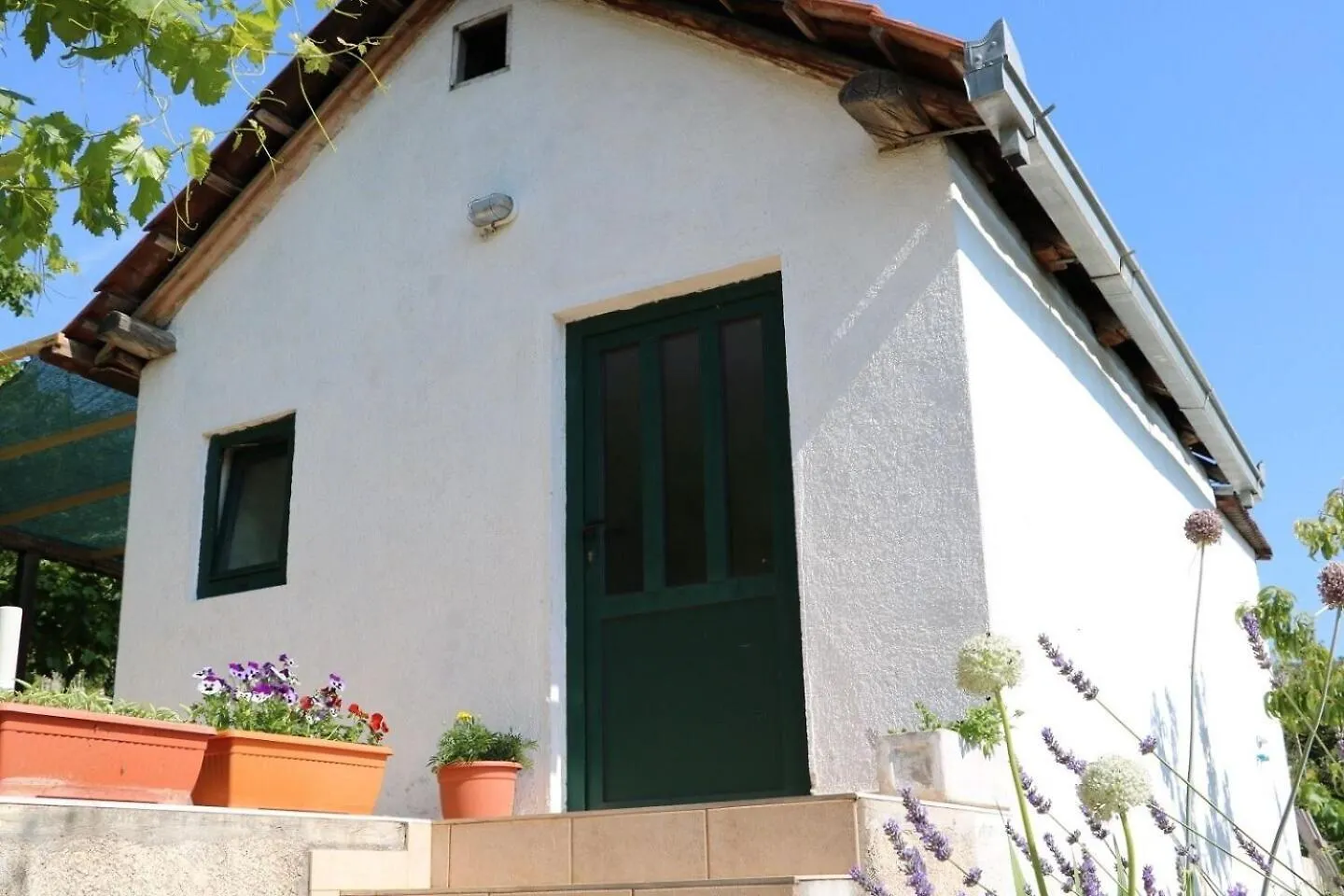 Apartments Nina Seget Vranjica