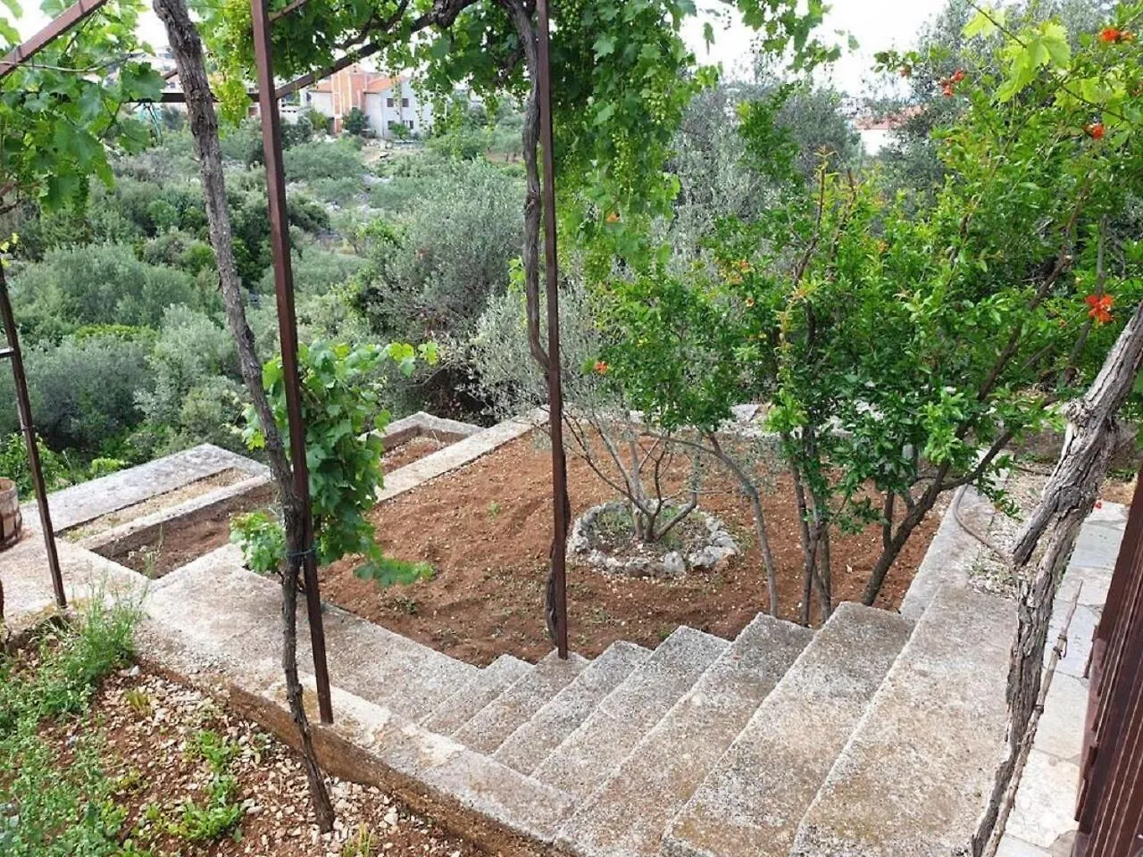 Apartments Nina Seget Vranjica Croatia
